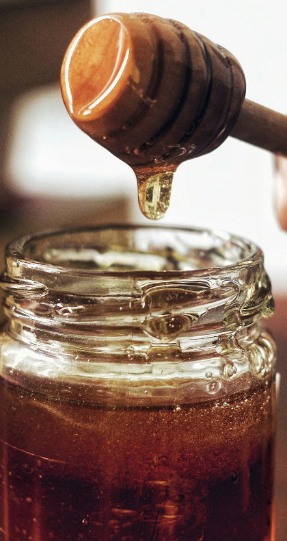 Honey Extraction