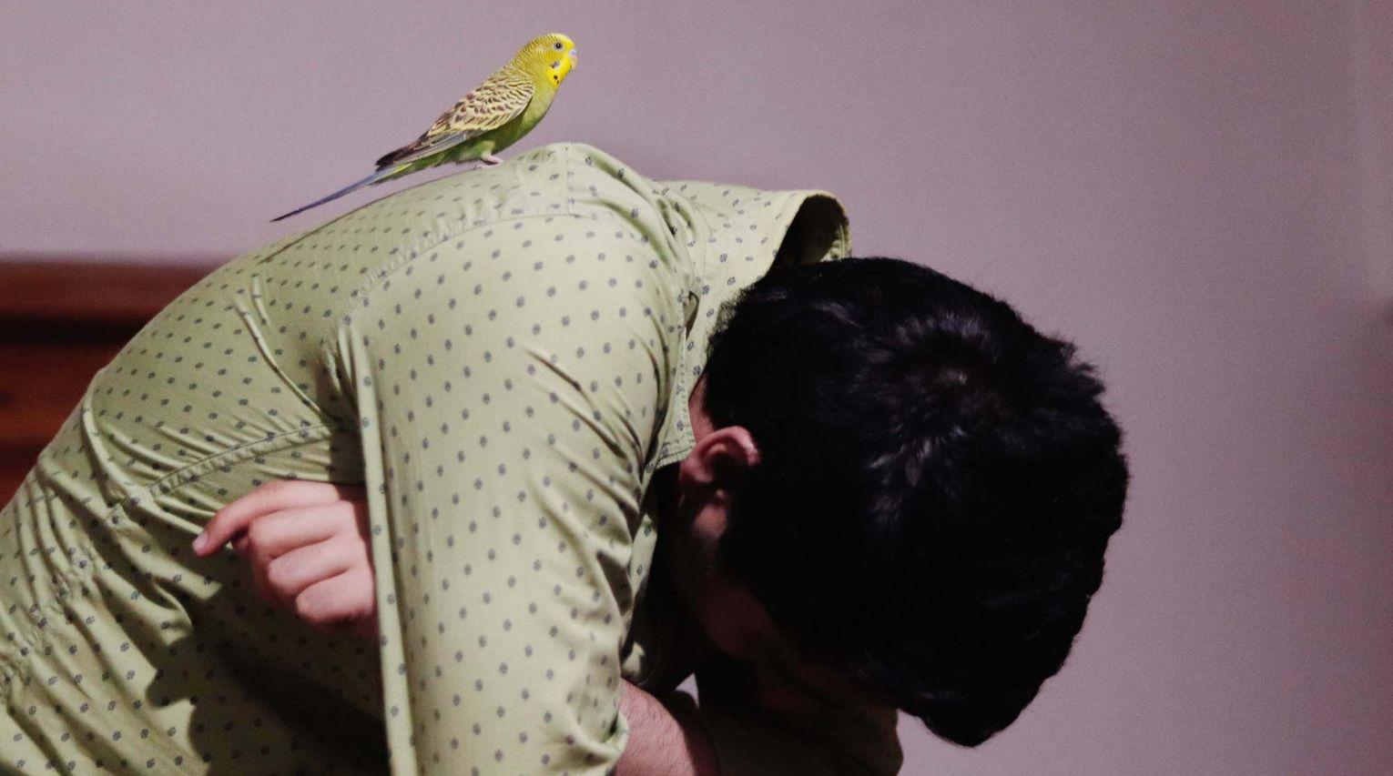 The Weight of Snow on Her Chest