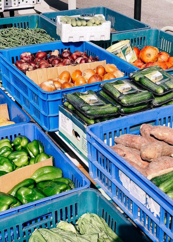 Organic Farmer’s Market @ Alserkal Avenue