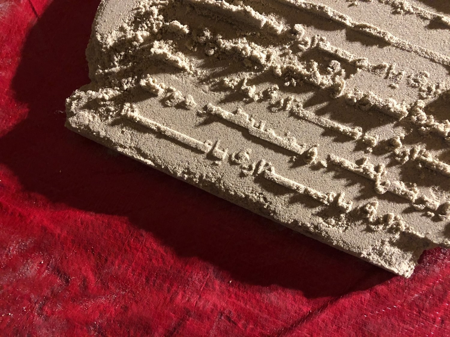 The Memory in Our Bones