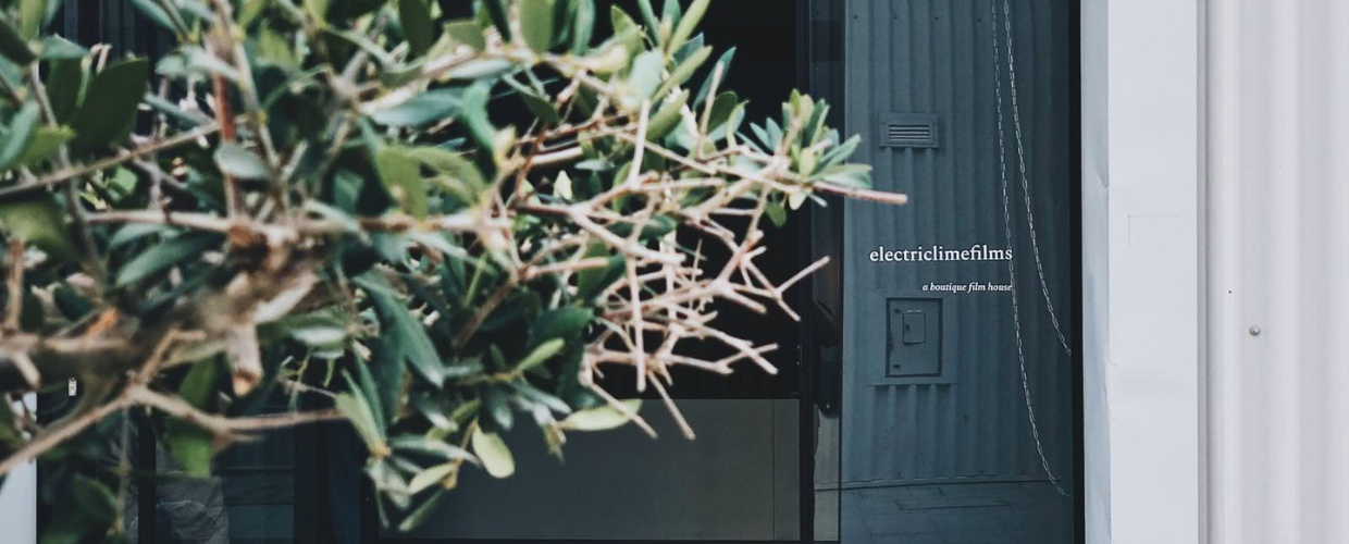 electriclimefilms°
