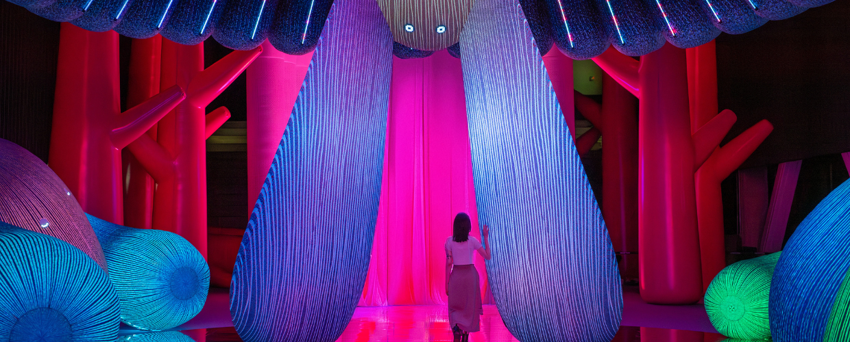 Forest Dancer and the Path to Pure Creation