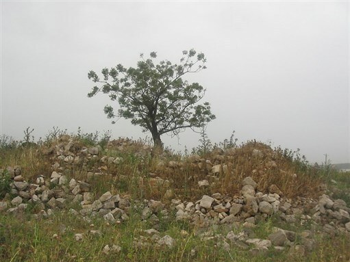 In the Presence of Absence