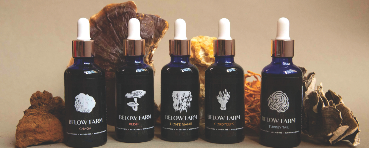 Desert-Grown Healing: How Mushrooms Nourish & Nurture People and Planet