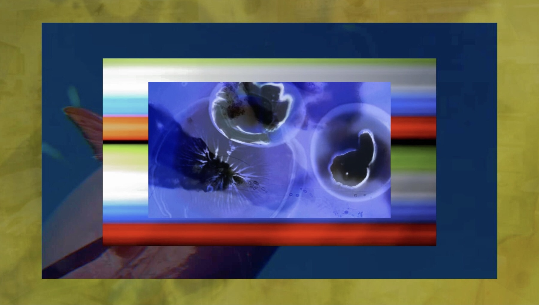 Narrated Liquid Contaminants