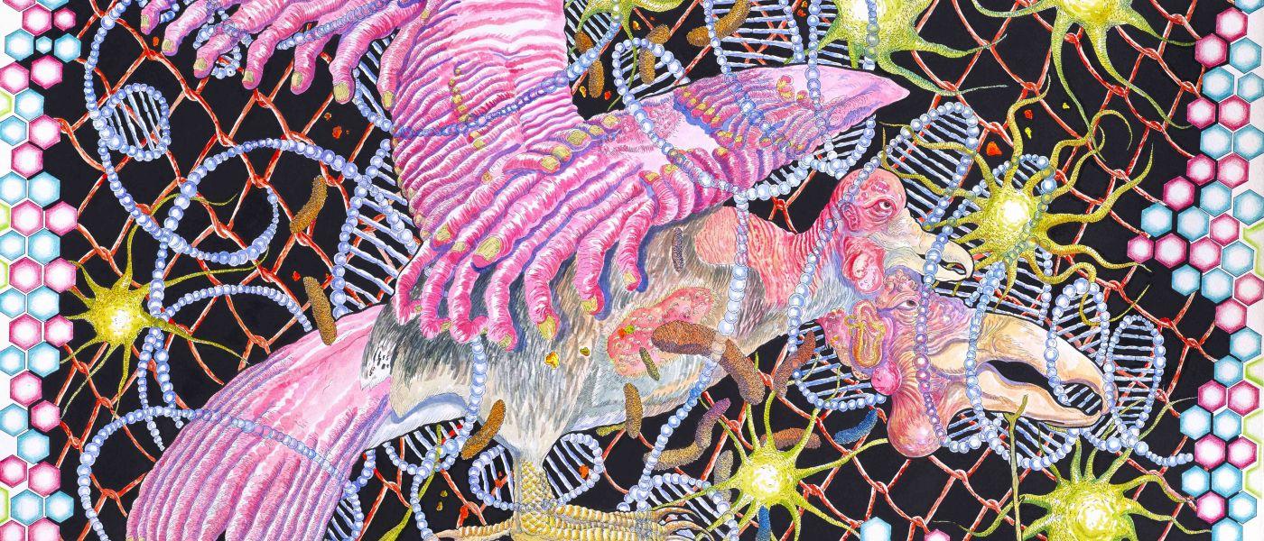 Chaos, Love, and Enigmas