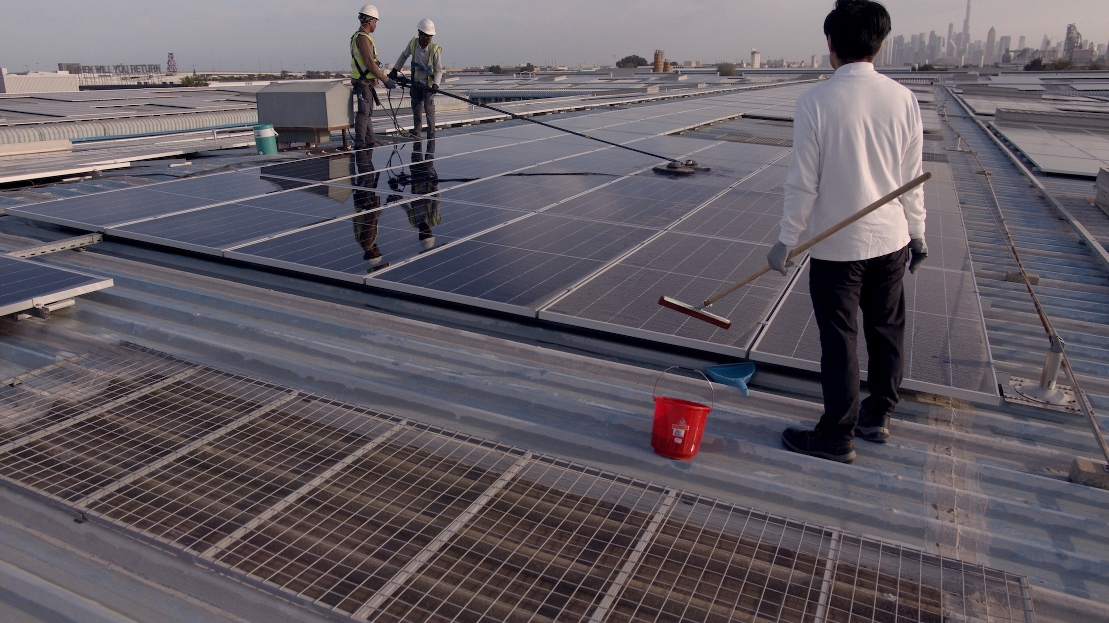 Surface / Active / Agent