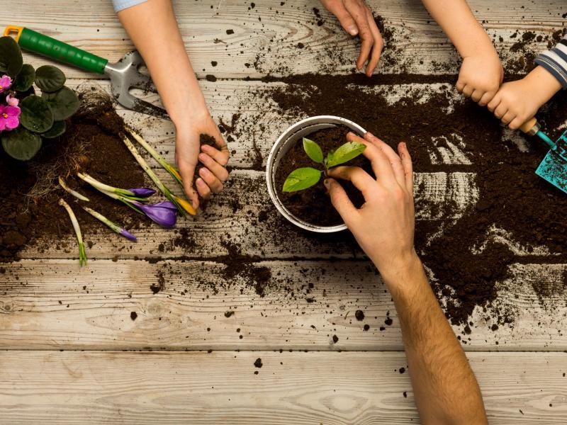 Grow Your Own Pesto with Jamie Carroll
