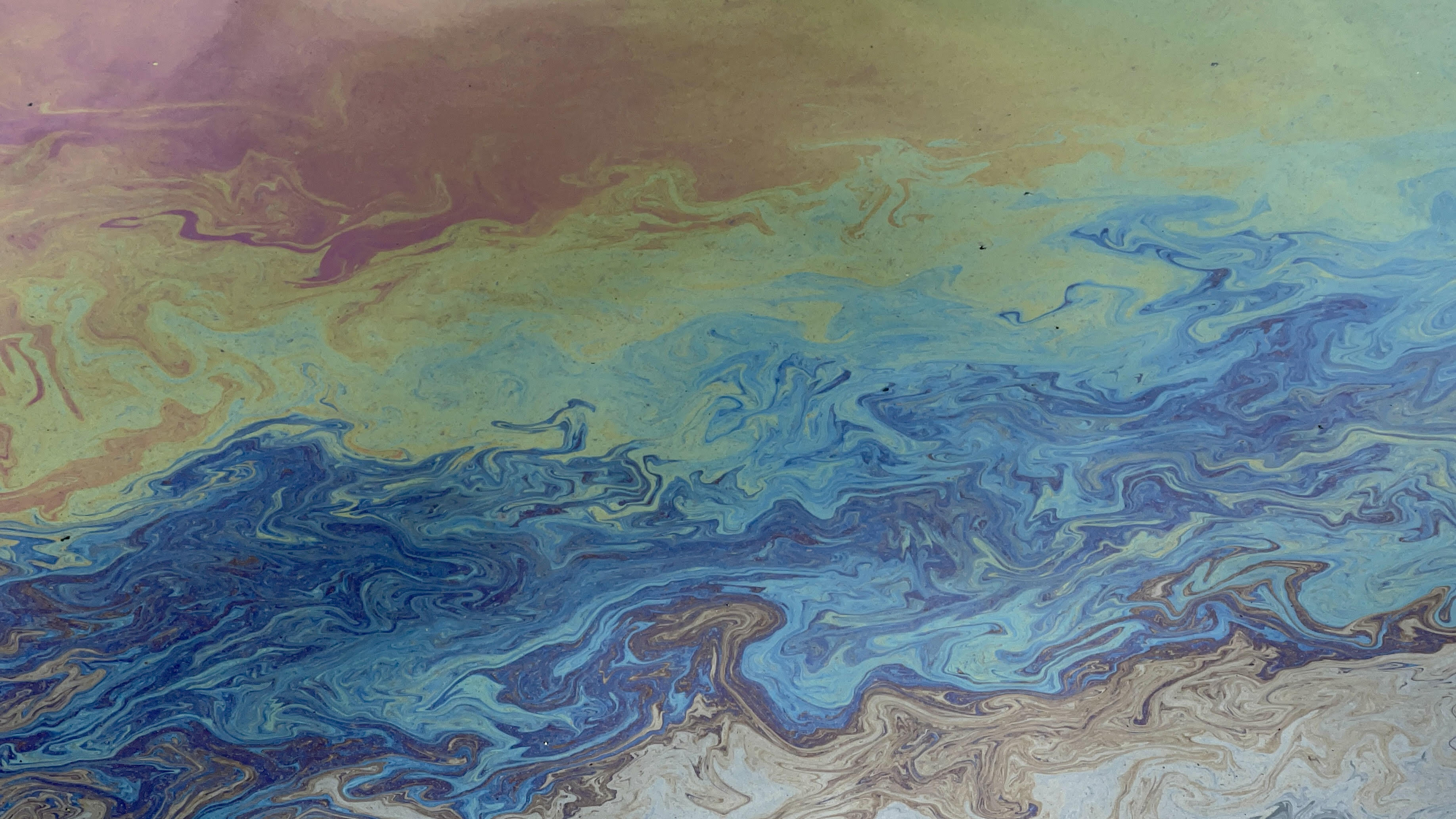 Majlis Talks Session 5: On Translucency