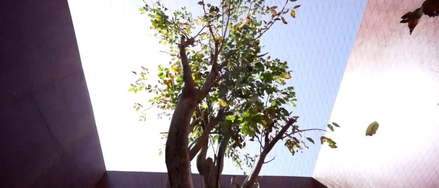 "Under": A Video Documentation