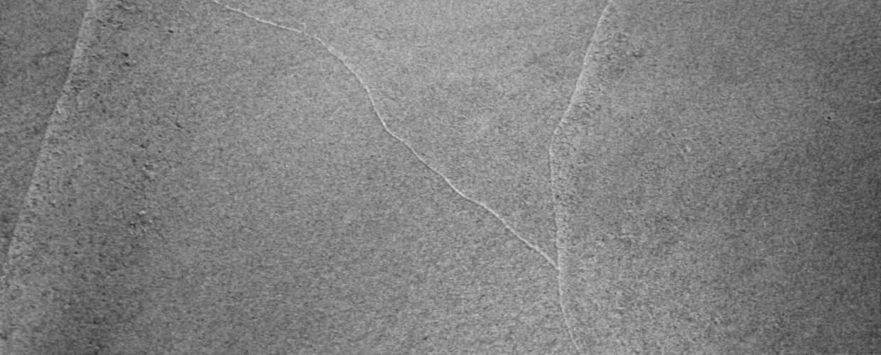 The importance of staying quiet: 2. Lala Rukh II