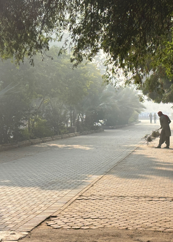 Visualizing Care: Curated by Uzma Z. Rizvi and Sara Eichner