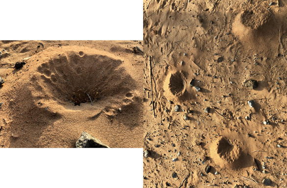 Roaming, a photo essay by Liao Fei, is a culmination of his research and observations from his frequent walks through Dubai