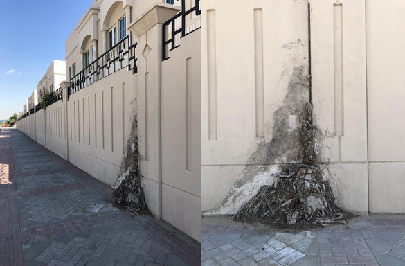 Roaming, a photo essay by Liao Fei, is a culmination of his research and observations from his frequent walks through Dubai